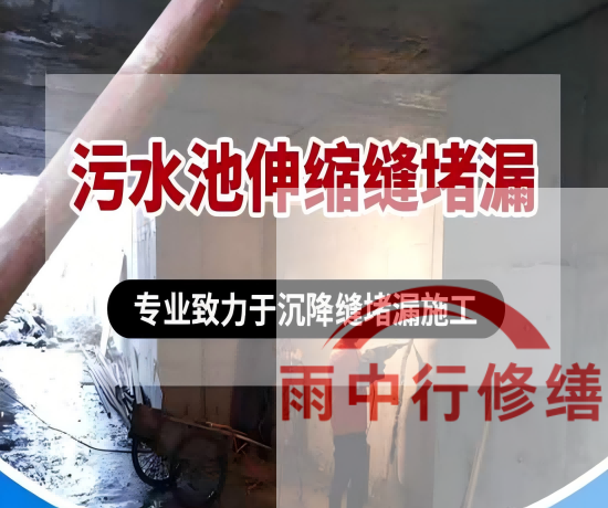 湖南某污水处理厂钢筋混凝土池堵漏案例